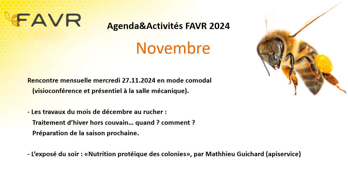 Rencontre+mensuelle+27.11.2024.png