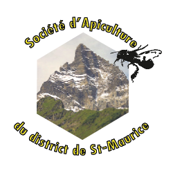 Logo-St-Maurice.png