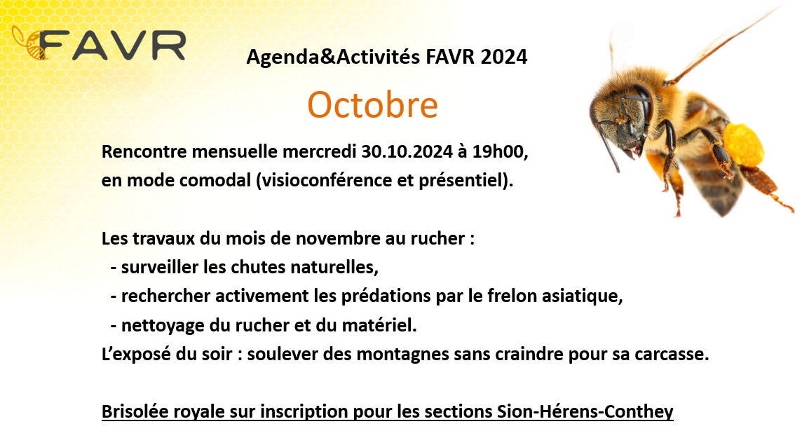 Rencontre+30.10.2024.png